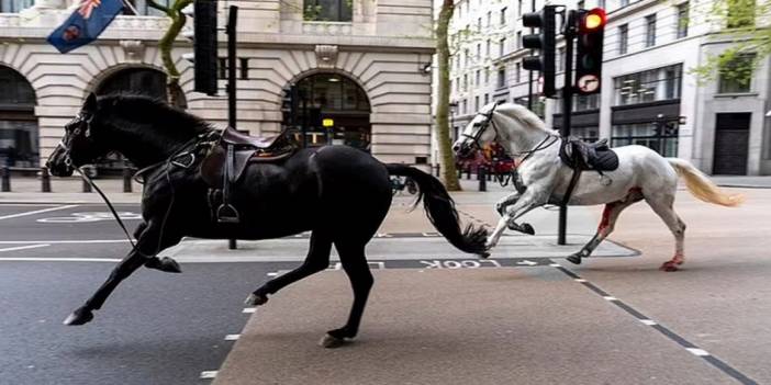 Ürken Kraliyet Atları Londra Caddelerini Birbirine Kattı