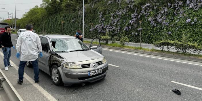 Ordu'da Otomobil Yayaya Çarptı