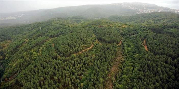 Hatay'da Ormanlık Alanlara Giriş Yasaklandı