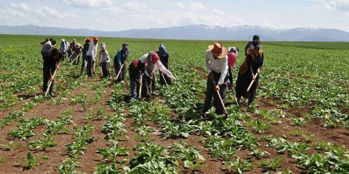 "Tarımda Yem Sübvansiyonu ve Destekler Artırılmadan Çözüm Mümkün Değil"