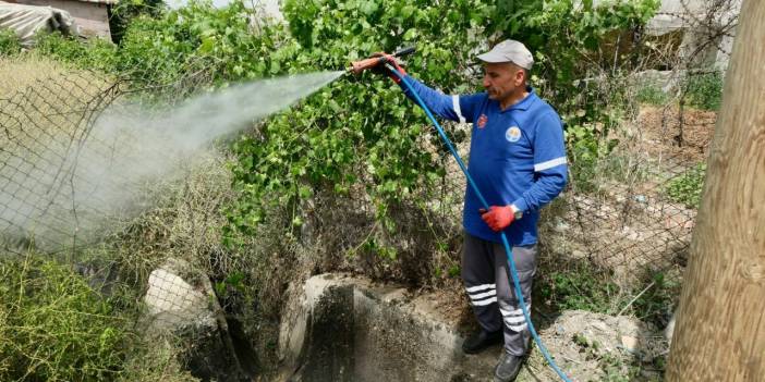 Adana'da Haşere İle Savaş: 450 Kişilik Ekip Sahada!