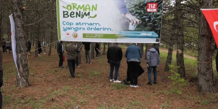 “Bakanlık Sadece Kampanya Yapmasın, Ormanları Korumak İçin Tedbir Alsın”