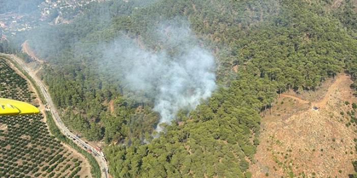 Muğla'da Çıkan Orman Yangını Söndürüldü