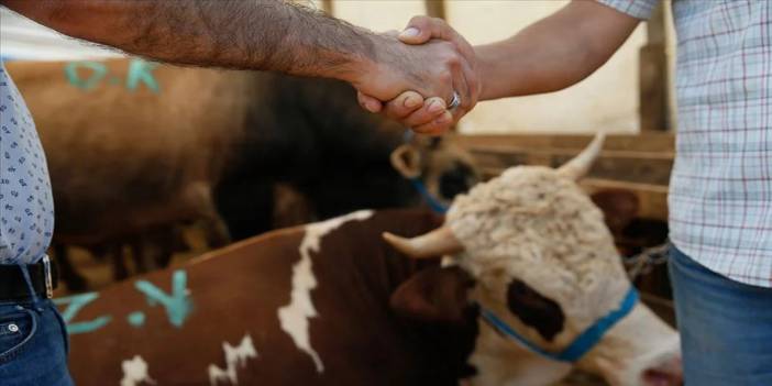 Kurban Kesimiyle İlgili Yeni Karar! 1 Haziran'da Başlıyor