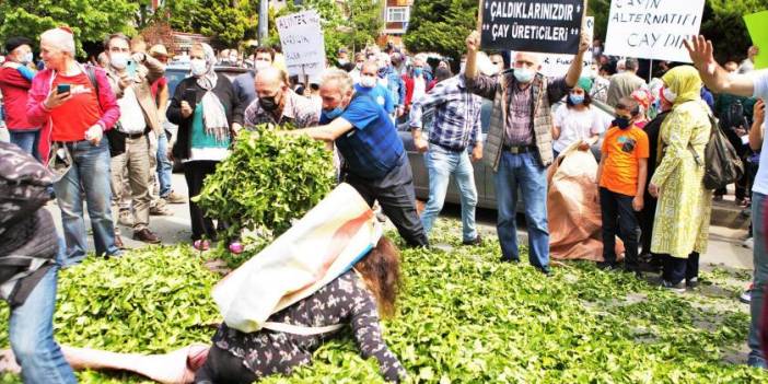 Bakan Yumaklı'dan Çay Protestosu Sonrası Açıklama: Çay Alım Fiyatı Makul