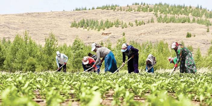 Tarım Alanında Uyarı: "Üretim Ciddi Risk Altında, Her Geçen Gün Biraz Daha Çöküyor"