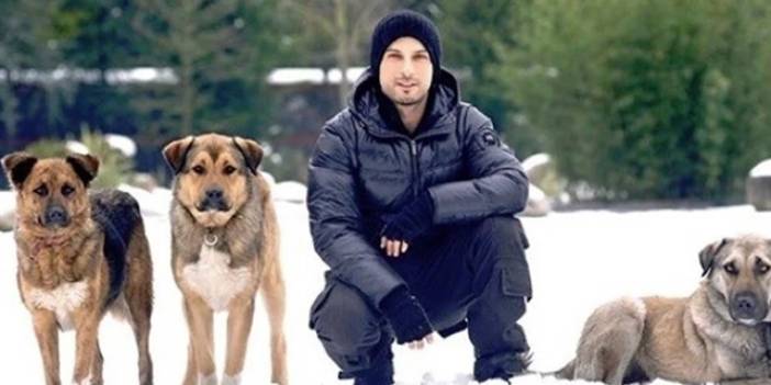 'Köpeklerin Uyutulması' Tasarısına Tarkan İsyanı!