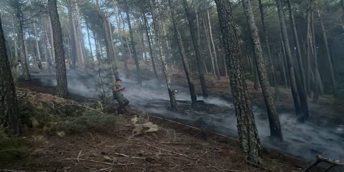 Muğla’da Orman Yangını