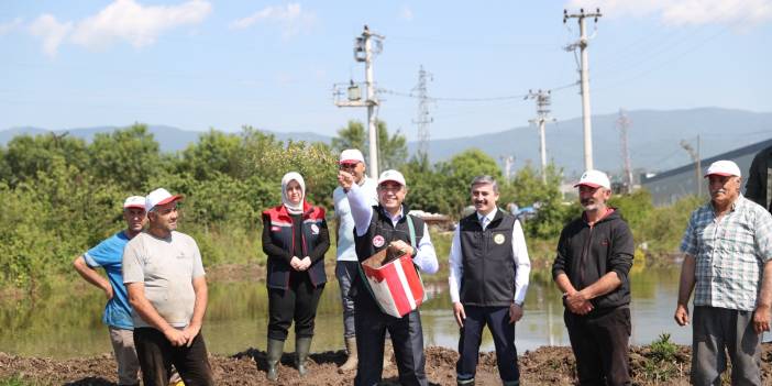 En Kıymetli Tarım Ürünlerinden Biri Düzce'de Üretiliyor! Ekim Yeni Başladı, Hasadı Sonbaharda