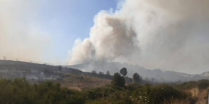 İzmir'de Yangın Çıkaran 2 Kişi Kıskıvrak Yakalandı!