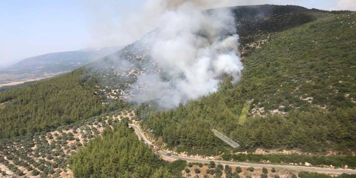 Muğla'daki Orman Yangınının Sebebi Ortaya Çıktı