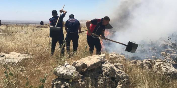 Mardin'de Yangın Paniği!