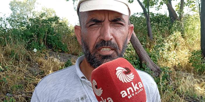 Çiftçiler, Buğday Taban Fiyatına Karşı İsyan Etti: 'Zarar ve İflaslar Artıyor, Tarlalar Boş Kalacak'