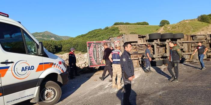 Kurbanlıkları Taşıyan TIR Devrildi: 17 Hayvan Telef Oldu!