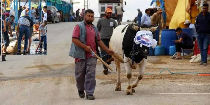 Kurban Kesecekler Dikkat! 460 Bin Liraya Kadar Ceza Gelebilir