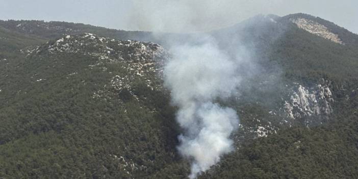 Muğla'da Orman Yangını