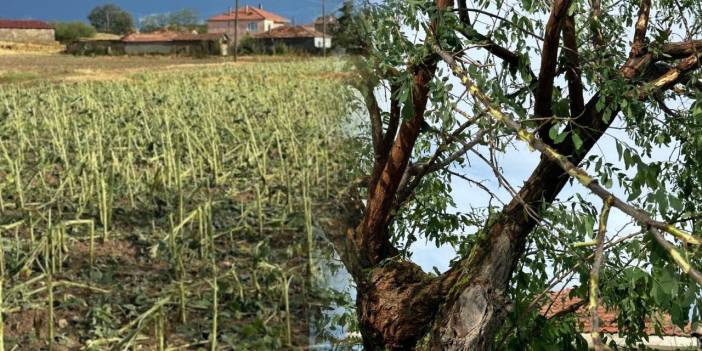 Trakya'yı Dolu Vurdu: Çiftçiler Perişan Oldu