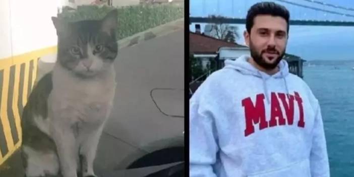 Kedi 'Eros' Davasında Flaş Son Dakika Gelişmesi