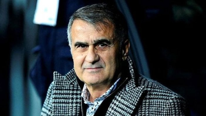 Son Dakika | Şenol Güneş, Arnavutluk ve Moldova maçlarında Milli Takım'ın başında...