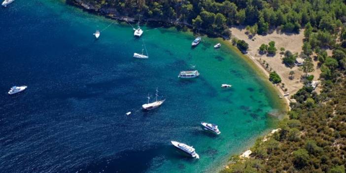 Ünlüler Bile Buraya Kaçtı! Bodrum'daki Plajın Esrarı: 50 Metre Arayla Fiyat Uçurumu, Su 10 TL Çay ve Kahve 15 TL