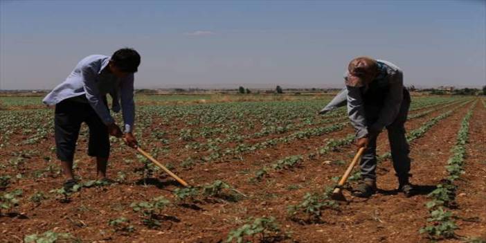 Bazılarına hayat daha da zor:  50 derece sıcaklığın altında mesai