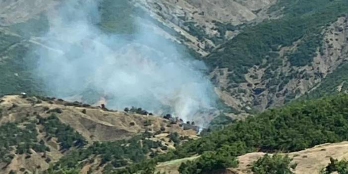 Bingöl’de Çıkan Yangın, Ormana Sıçramadan Söndürüldü