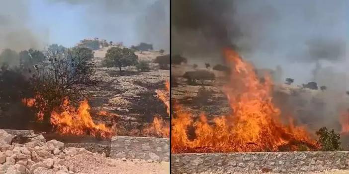 Mardin'de Anız Yangını!