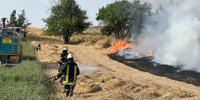 Kütahya'da Anız Yangını Korkuttu