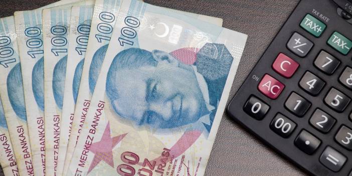 Kamu Bankalarına Sermaye Takviyesi, BOTAŞ Borçları Silinecek