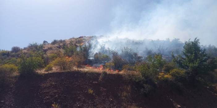 Siirt'te Örtü Yangını: Alevler Rüzgarın Etkisiyle Yayılıyor!