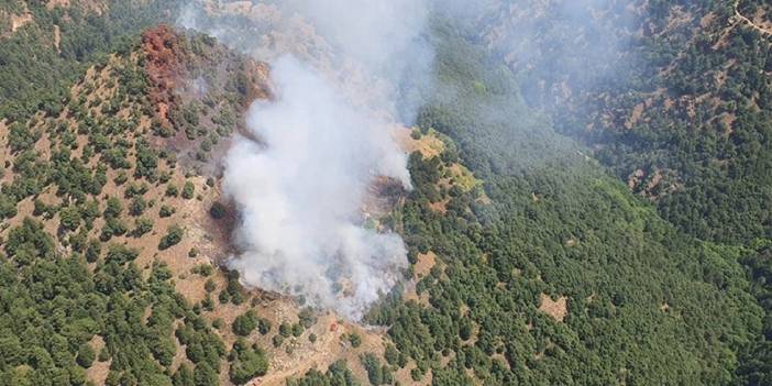 Manisa Kırkağaç'ta Orman Yangını Çıktı