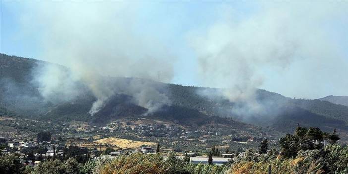 Hatay'da Orman Yangını Çıktı!