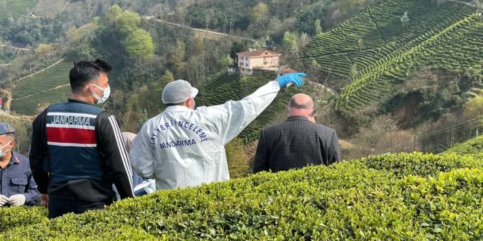 Rize'de Çay Bahçesinde Erkek Cesedi Bulundu