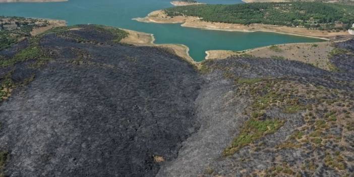 Balıkesir'de yangına sebep olduğu belirtilen kişi tutuklandı