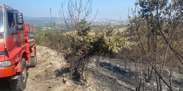 Çanakkale Ayvacık orman yangını 2'nci gününde