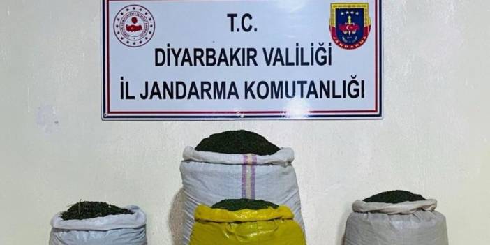 Diyarbakır'da 170 bin 500 kök kenevir ve 52 kilogram yasaklı madde ele geçirildi