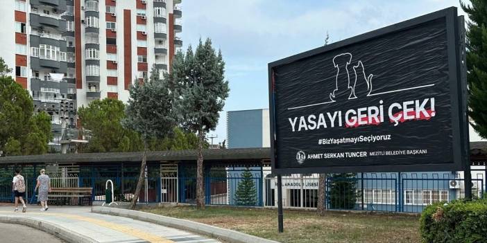 Mezitli Belediyesi'nden sokak hayvanları için billboard