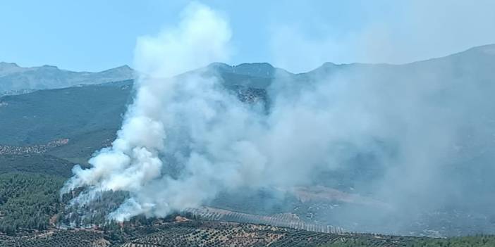 Hatay'da orman yangını!