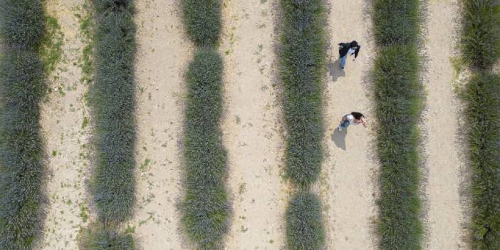 Bu kez fotoğraflar Ankara'dan! Gören oraya koştu
