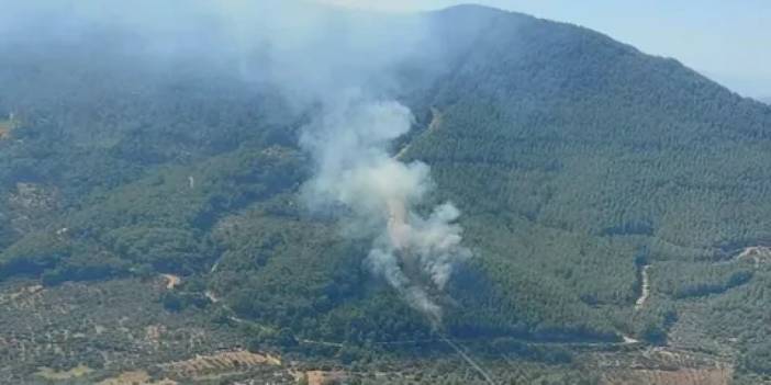 İzmir Kemalpaşa'da orman yangını