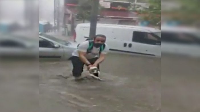 Suların ortasında mahsur kalan kediyi böyle kurtardı