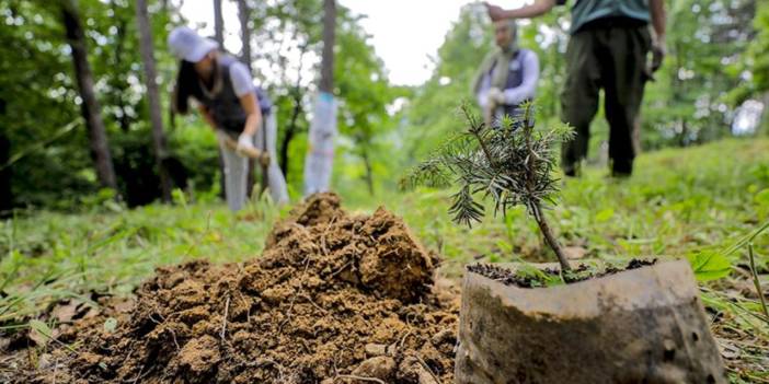 Karşıyaka'dan ağaçlandırma seferberliği