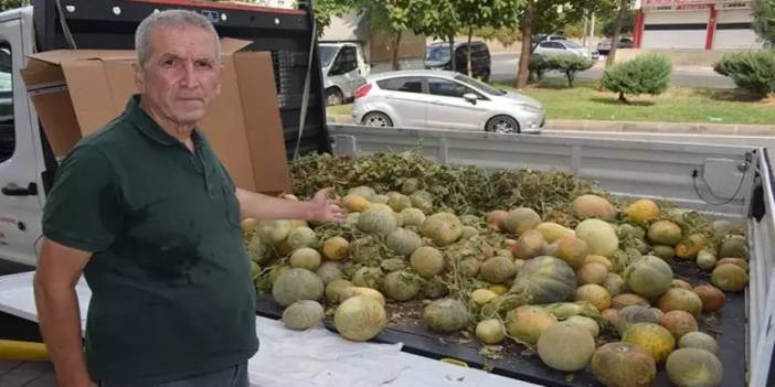 Tüccara kızdı, çöpe atmak yerine ‘lösemili çocuklar’ yararına dağıttı