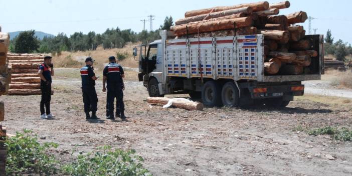 Çanakkale'de üzerine tomruk düşen sürücü öldü