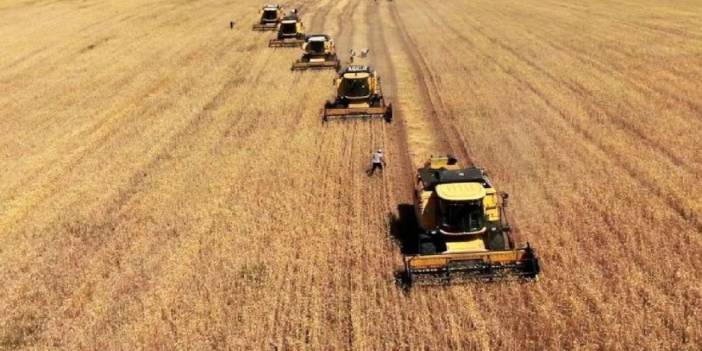 Bakan açıkladı! Çiftçiye 'destek' ödemesi yapılacak