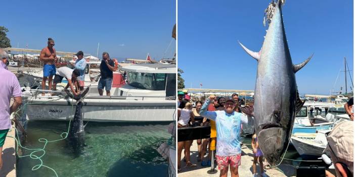 Bodrum'da oltaya dev balık takıldı tam 376 kilo