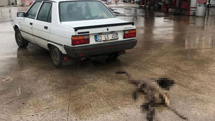  Köpeği iple otomobilin arkasına bağlayıp sürüklemişti! Cezası belli oldu 