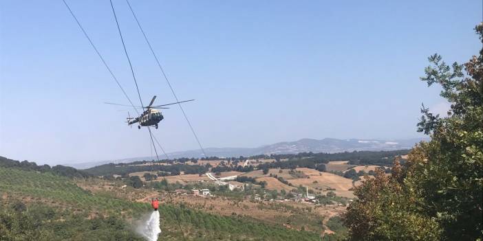 Bursa'da orman yangını