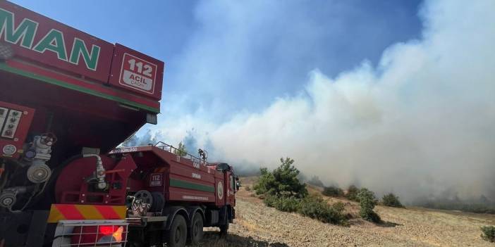 Kahramanmaraş'ta orman yangını