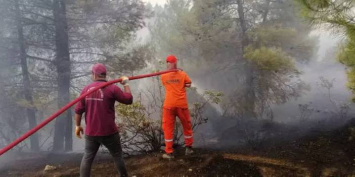 Kahramanmaraş'ta korkutan orman yangını